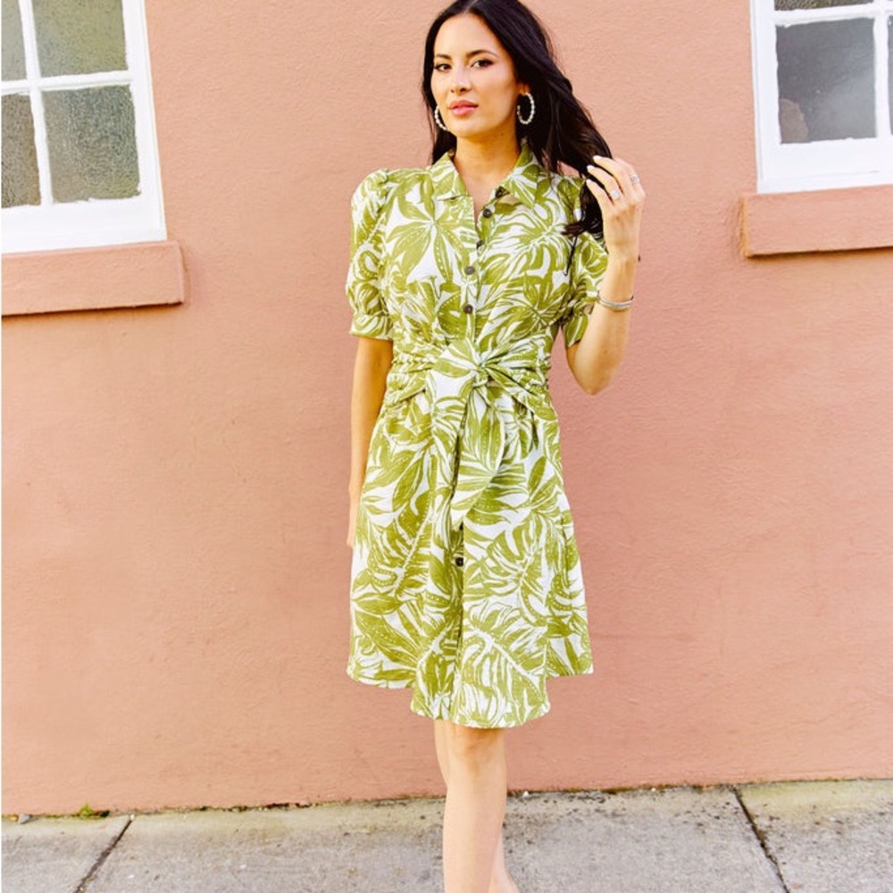 Rachel Parcell Green and White A-Line Midi Dress